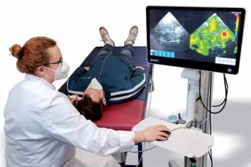 Nichtinvasive Bestimmung des Hirndrucks in Patienten durch neuartige zeitharmonische Elastographie
