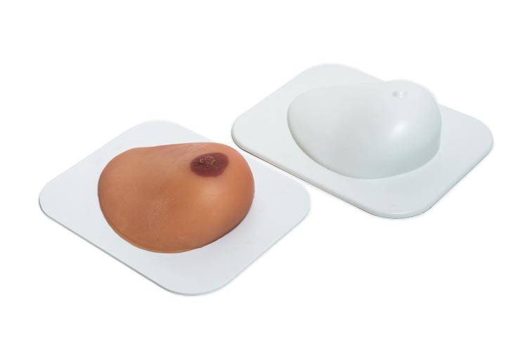 Ultrasound Breast Model with Cysts