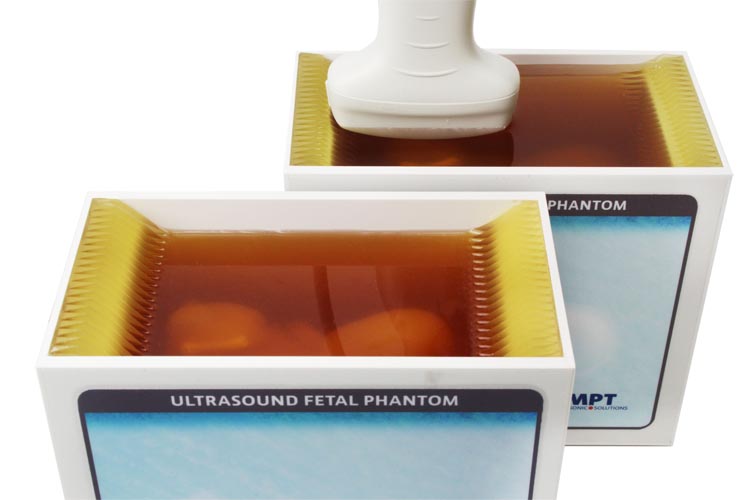 Ultraschall-Fetus-Phantom im Einsatz